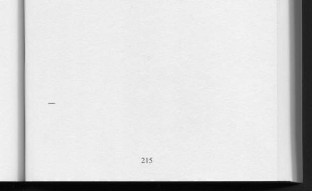 Evanos Dara knygos „Easy Chain" 215 puslapio fotokopija